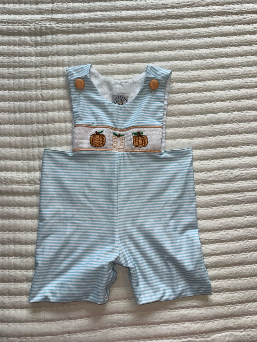 Children's Light Blue Striped Pumpkin Embroidered One-Piece